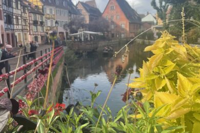 Colorful canal scene in a picturesque village with half-timbered buildings, lush greenery, and flowers in the foreground under a blue sky.